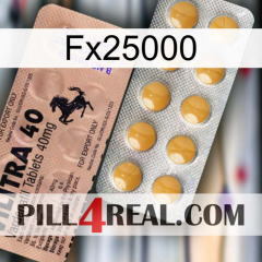 Fx25000 41